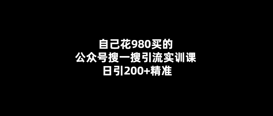 980元引流實訓課-輕松獲得200+精準流量！