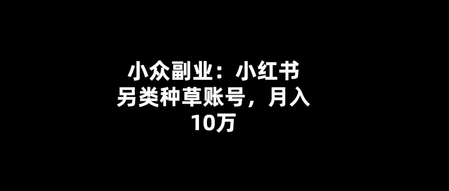 小紅書另類種草-月入10萬-讓你的副業(yè)不再平凡
