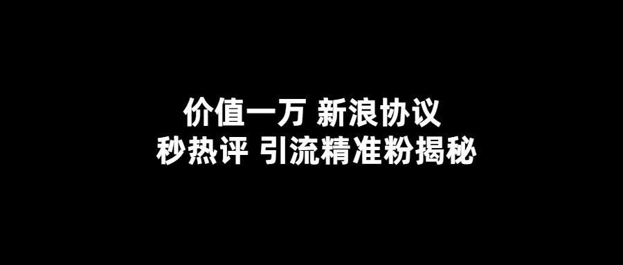 新浪秒熱評協議，揭秘精準引流，價值一萬！