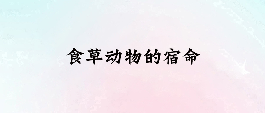 打破宿命！三步讓你擺脫“食草動物”的命運