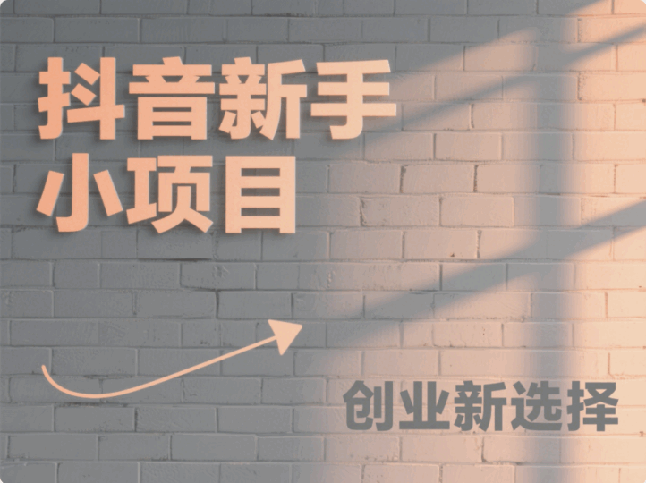 抖音小項(xiàng)目,適合新手做的創(chuàng)業(yè)項(xiàng)目-愛分享導(dǎo)航