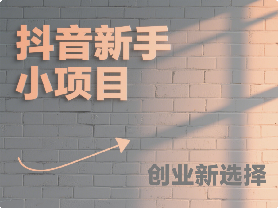 抖音小項目,適合新手做的創業項目-愛分享導航